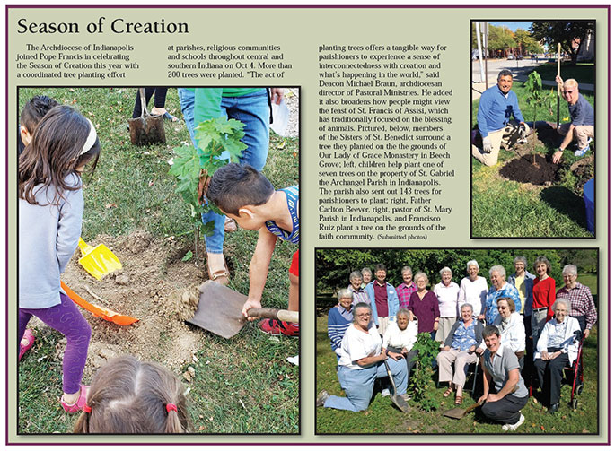 Photos: Season of Creation